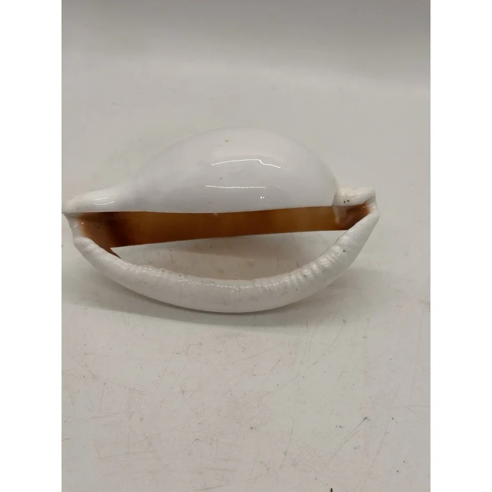 Large Natural Shell Napkin Ring Coastal Beach Table Decor Replacement Single